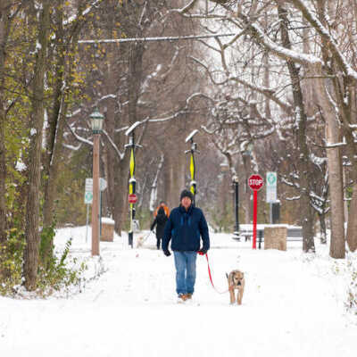 Illinois Prairie Path, at York Street