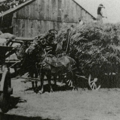 Harger Farm