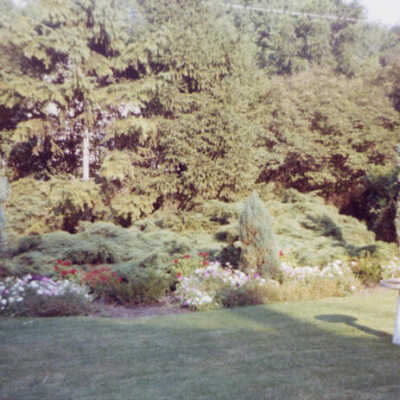 Garden at 193 Maple Avenue