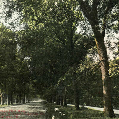 Cottage Hill Avenue
