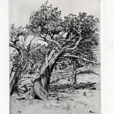 Etching