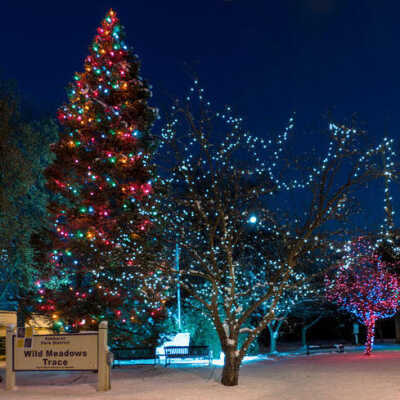 Wild Meadows Trace, Christmas lights