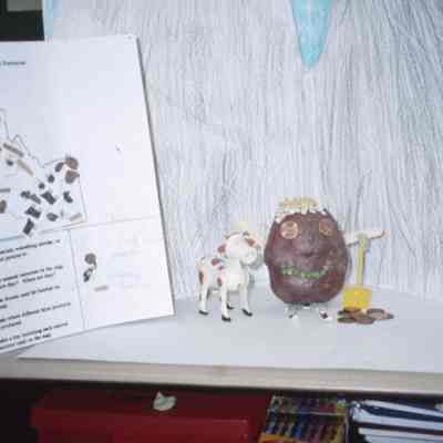 Field School Third Grade Class Project