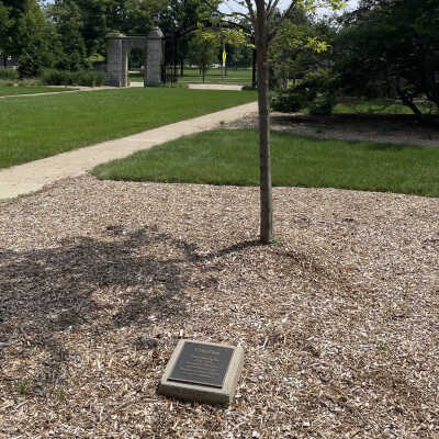 Elmhurst University, 150 Elm tree