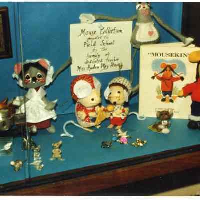 Field School, Audra Pence Display