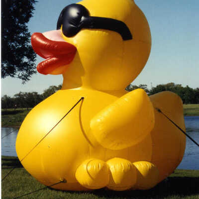 Great Elmhurst Duck Race Balloon