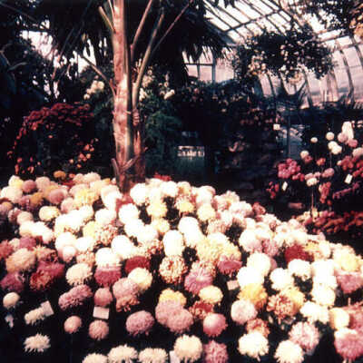 Wilder Park, Conservatory