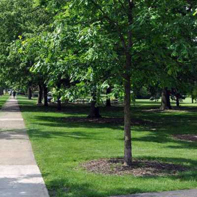 Wilder Park along Cottage Hill Avenue