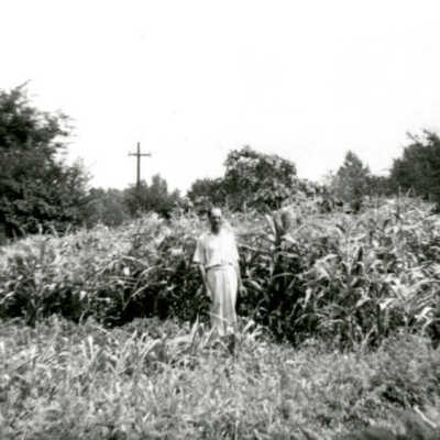Garden at 455 Sunnyside