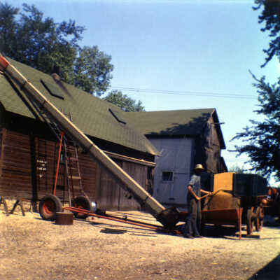 Paul Luessenhop loading grain elevator