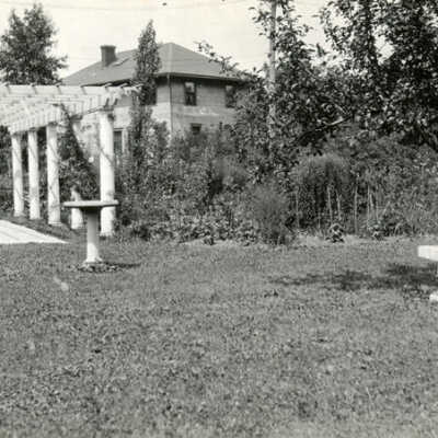Garden at 438 Hill Avenue