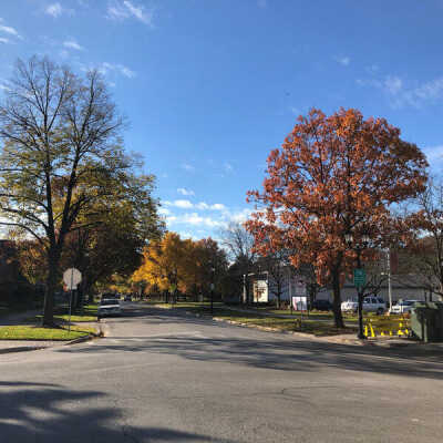 Cottage Hill Avenue, looking south