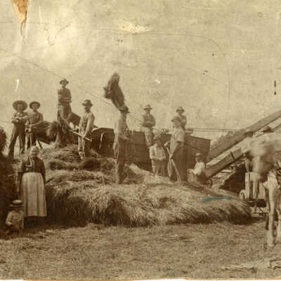 Farm workers threshing scene