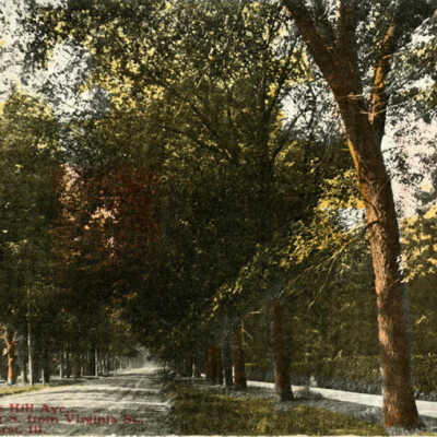 Cottage Hill Avenue