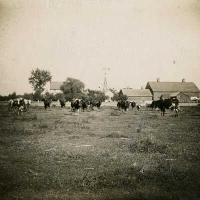 Gustav Fischer Farm