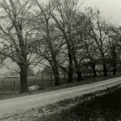 Church Road North of Grand Avenue