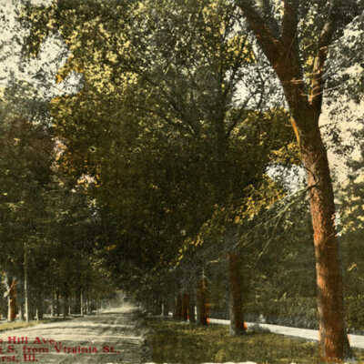 Cottage Hill Avenue