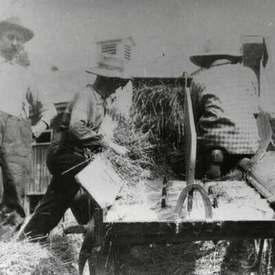 Ehlers farm, threshing scene