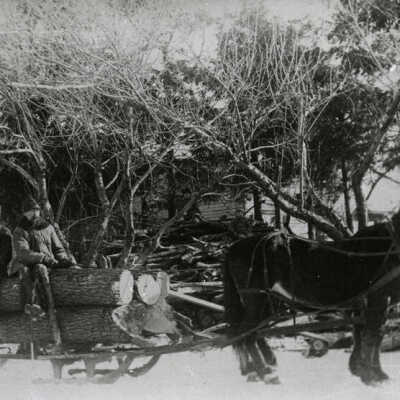 Edward Ehlers on a Horse-Drawn Sled