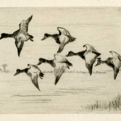 Etching