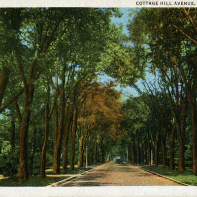 Cottage Hill Avenue