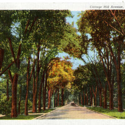 Cottage Hill Avenue