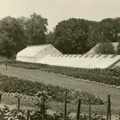 Wilder Park, Conservatory