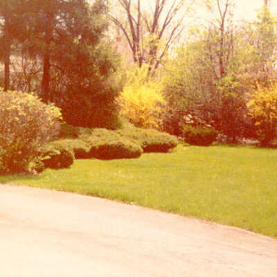 Garden at 193 Maple Avenue