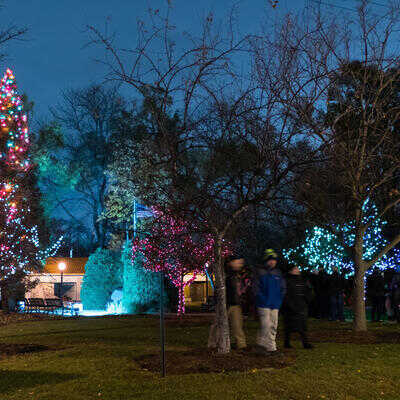 Spring Road Tree Lighting Ceremony