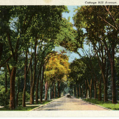Cottage Hill Avenue