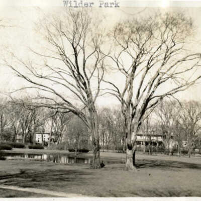 Wilder Park, grounds