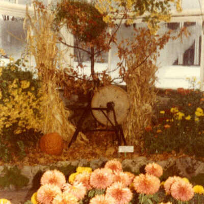 Wilder Park, Conservatory