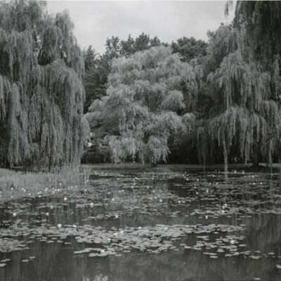 Wilder Park, ponds