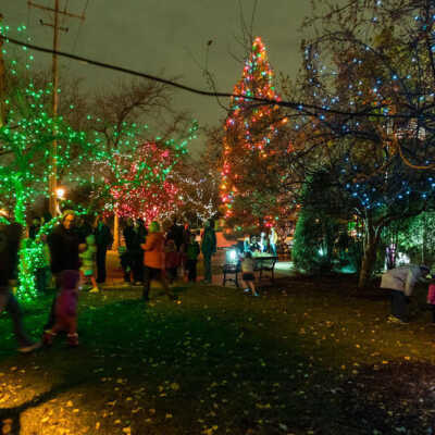 Spring Road Tree Lighting Ceremony