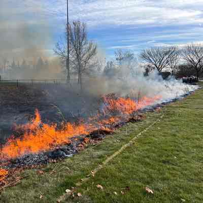 Controlled Burn at Berens Park