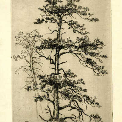 Etching