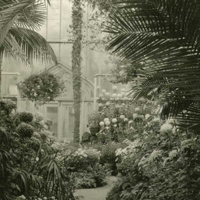 Wilder Park, Conservatory Interior