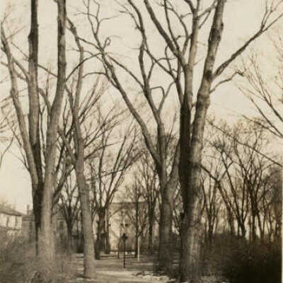 View of Wilder Park