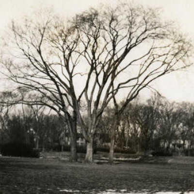 View of Wilder Park