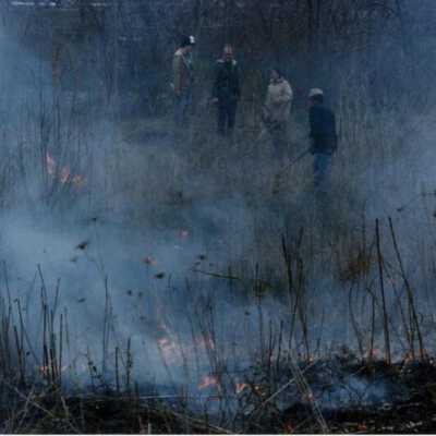 Great Western Prairie, controlled burn