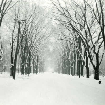 Cottage Hill Avenue, winter scene