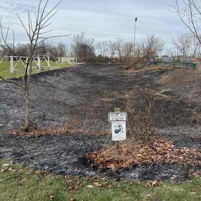 Controlled Burn at Berens Park