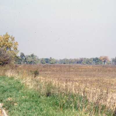 Poplar Avenue, North of St. Charles Road