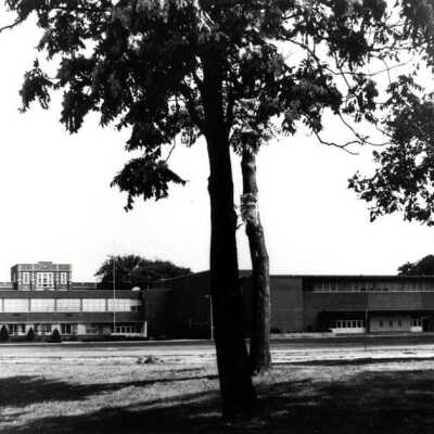 York Community High School