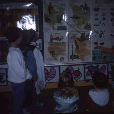 Field School Second Grade Class Project