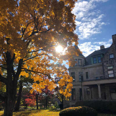Elmhurst History Museum in the Glos Mansion