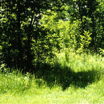 Berens Park
