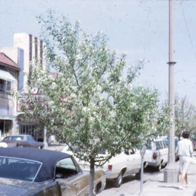 N. York Street Looking North