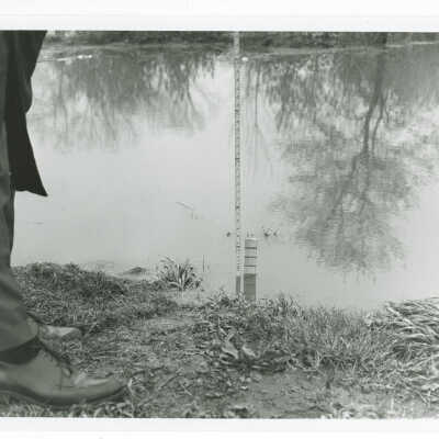 Flood 1966, Adams Street