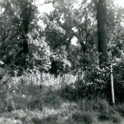 York Township Cemetery